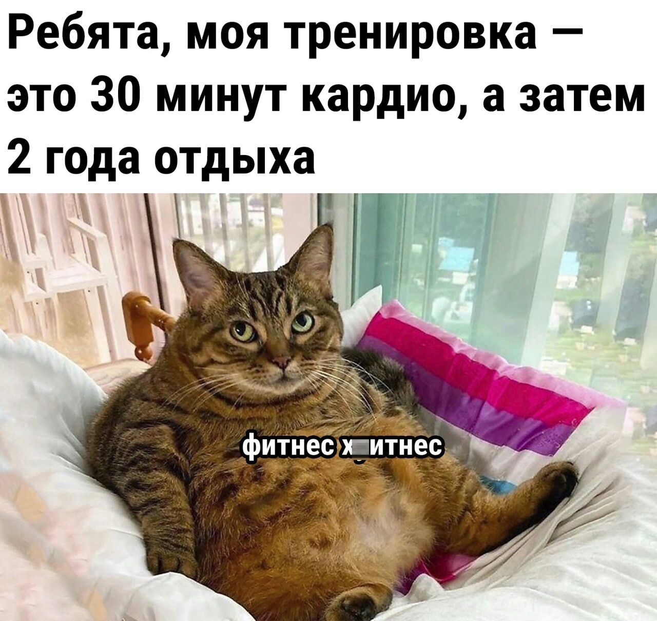 Ребята моя тренировка это 30 минут кардио а затем 2 года отдыха
