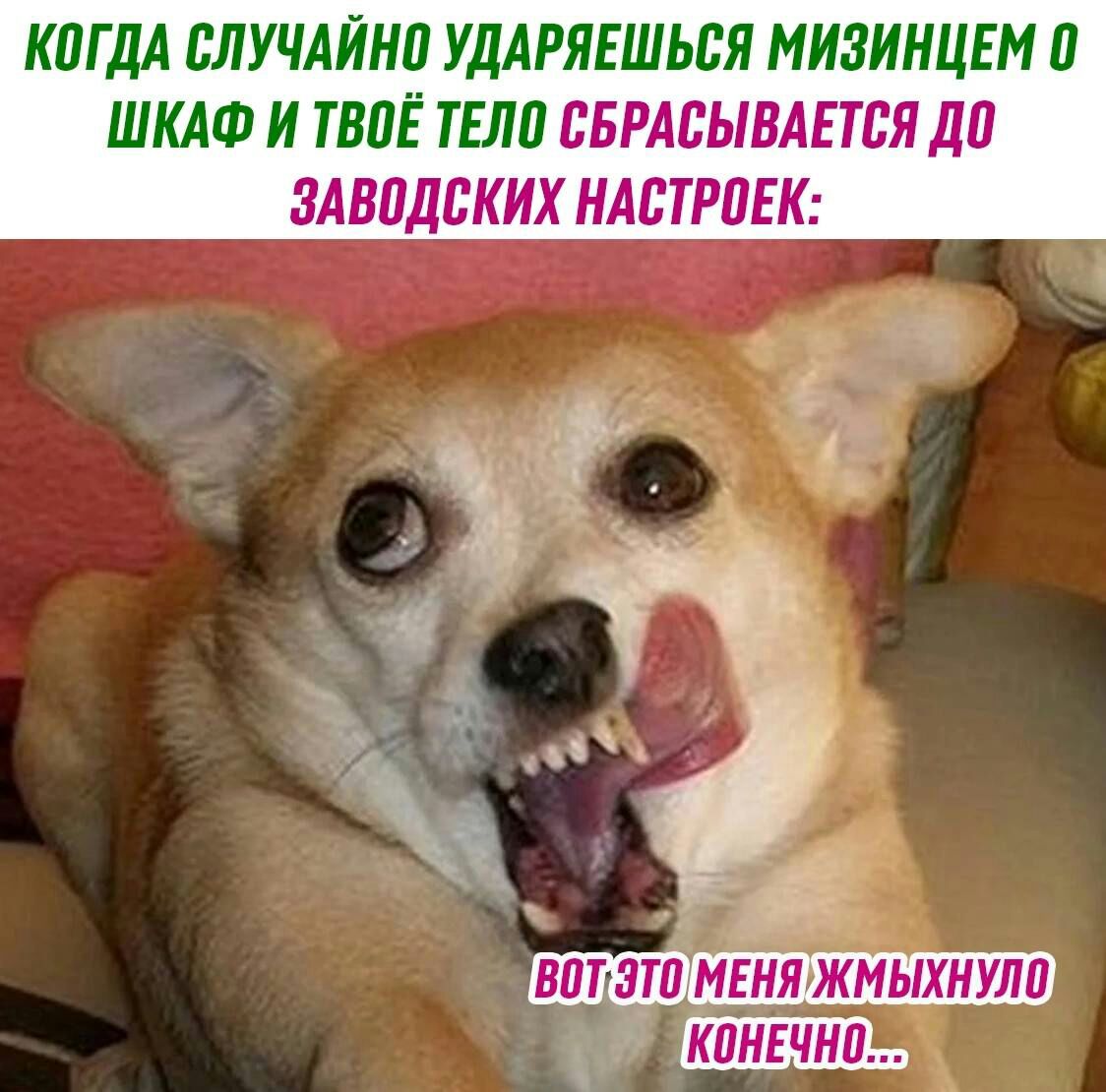КПГДА СЛУЧАЙНП УДАРЛЕШЬЬЯ МИЗИНЦЕМ П ШКАФ И ТВЛЁ ТЕЛ СБРАСЫВАЕТСЯ Д 0 ЗАВПДБКИХ НАВТРПЕК ЗЁ вит7_т ментжмыхнула