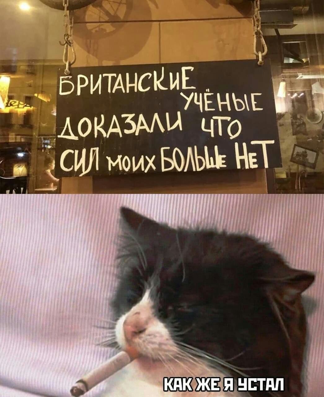 ЧА БРИТАНС сииЕ мд ыучёны Е АОКАЗМ ЫЧТО СИЛ моих БОАЬЪЪ НЕТ
