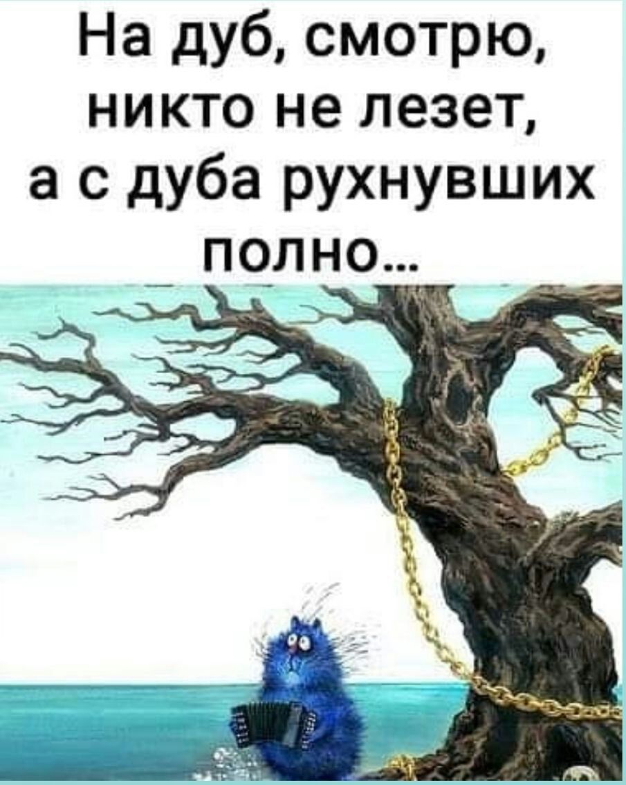 На дуб смотрю никто не лезет а с дуба рухнувших _ полно
