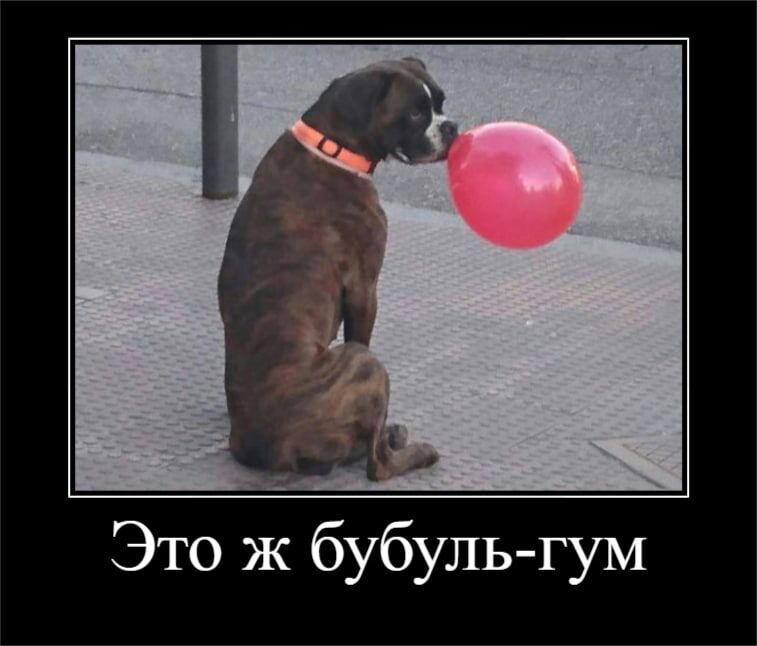 Ёю Это ж бубуль гум