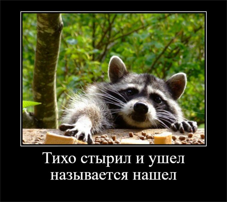 Тихо стырил и ушел называется нашел