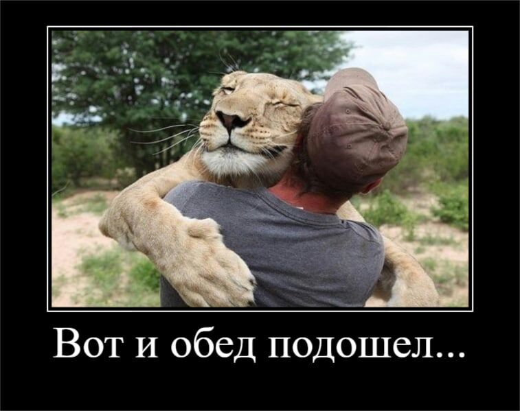 ВОТ И обед ПОДОШСЛ