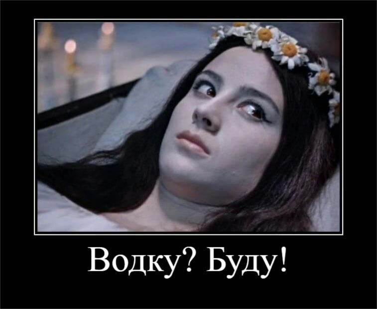Водку Буду