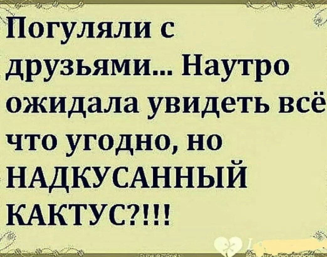 Погуляли с друзьями Наутро ожидала увидеть всё что угодно но НАДКУСАННЫЙ КАКТУС7