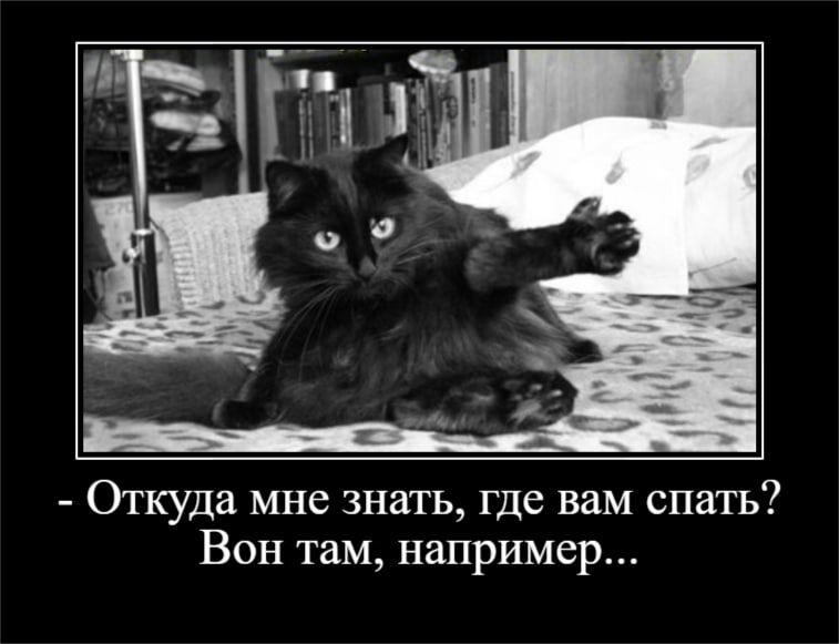 Откуда мне знать где вам спать Вон там например