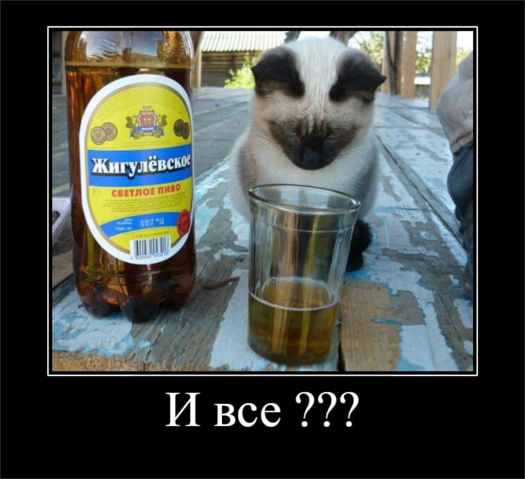 И все