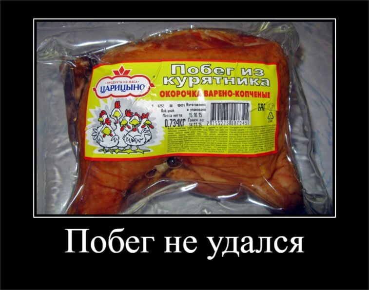 Побег не удался