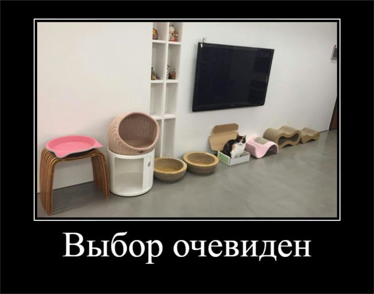 Выбор очевиден