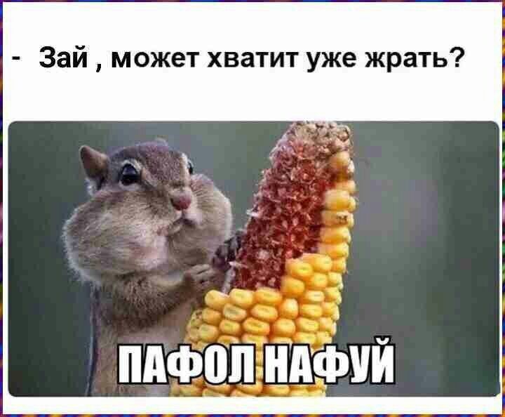 Зай может хватит уже жрать пдфпп ндфий