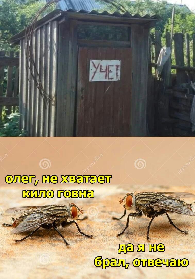 дПСЁ