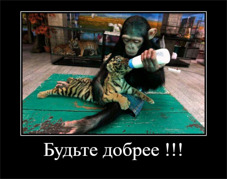 31 Будьте Добрее