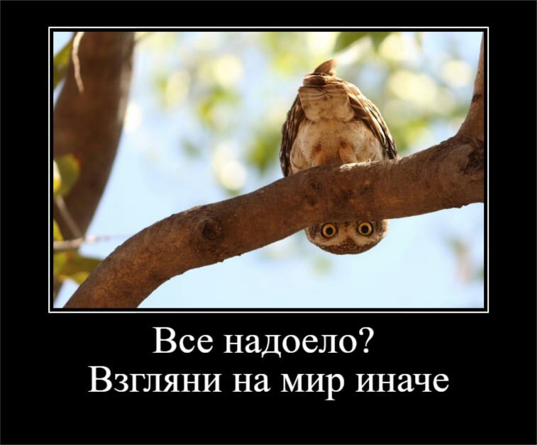 Все надоело Взгляни на мир иначе