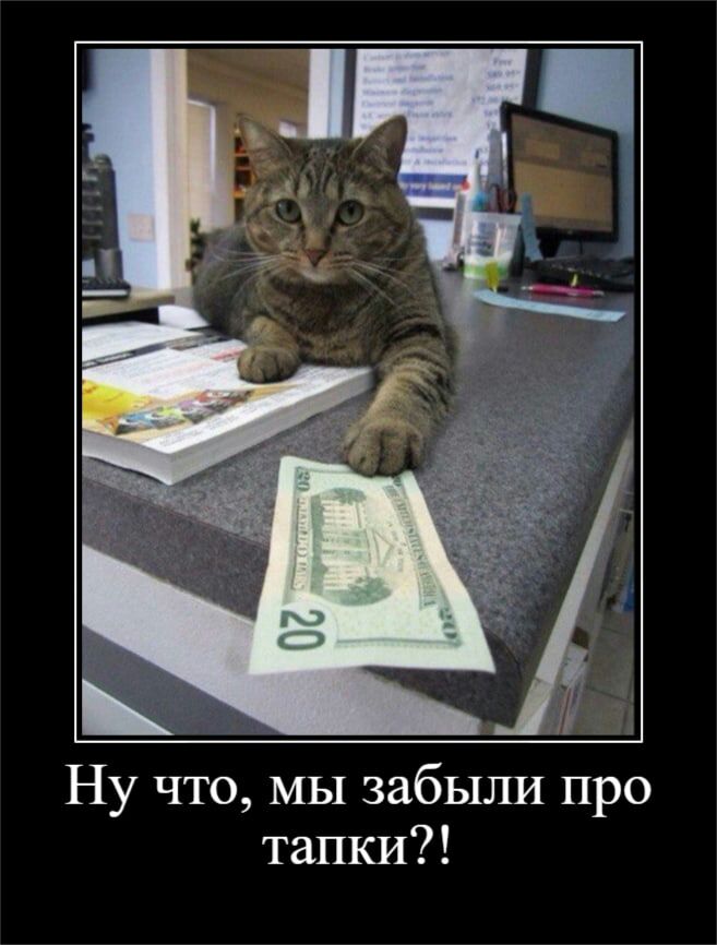Ну что мы забыли про тапки