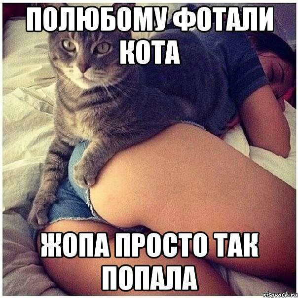 ю Еп _ __Ё ШЁПА ПРПВШ ПШ ППШША