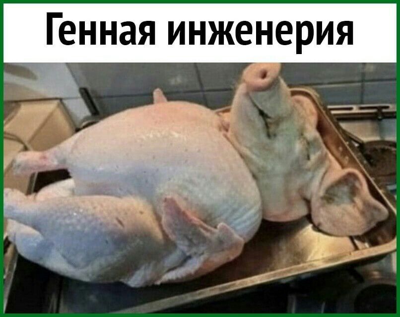 Я И р 8 Н е Ж Н И Я 3 Н Н _Ю