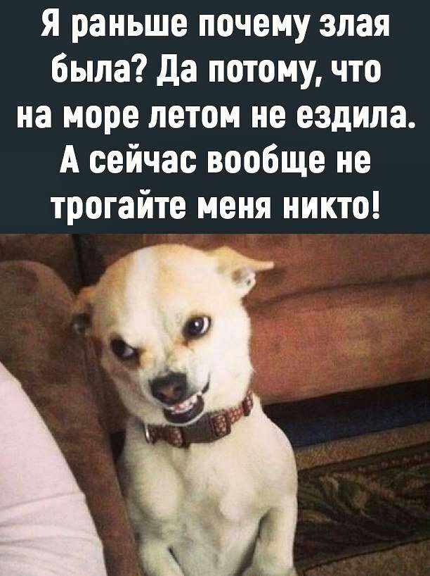 я раньше почему злая была да потому что на море летом не ездила А сейчас вообще не трогайте меня никто