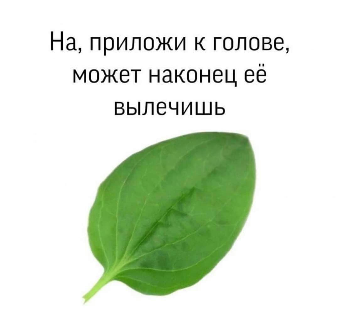 На ПРИЛОЖИ К ГОЛОВЕ МОЖЕТ НЗКОНВЦ её ВЫЛЕЧИШЬ