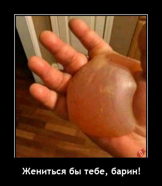 Жениться бы тебе барин