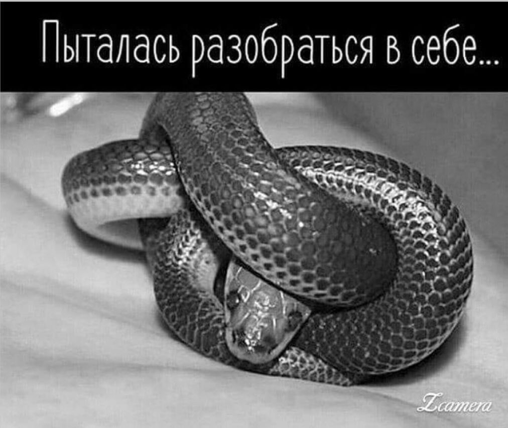 Пыталась разобраться в себе