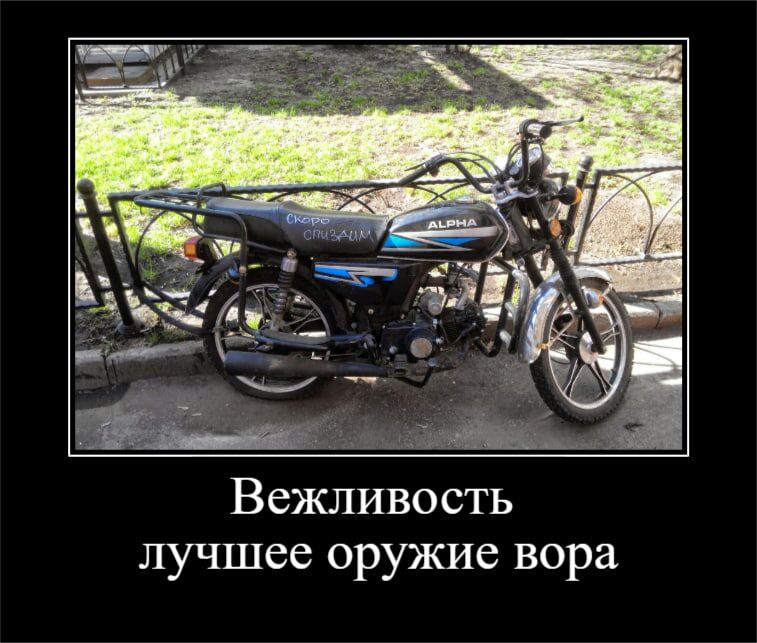 Вежливость лучшее оружие вора