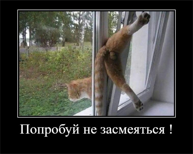 Попробуй не засмеяться