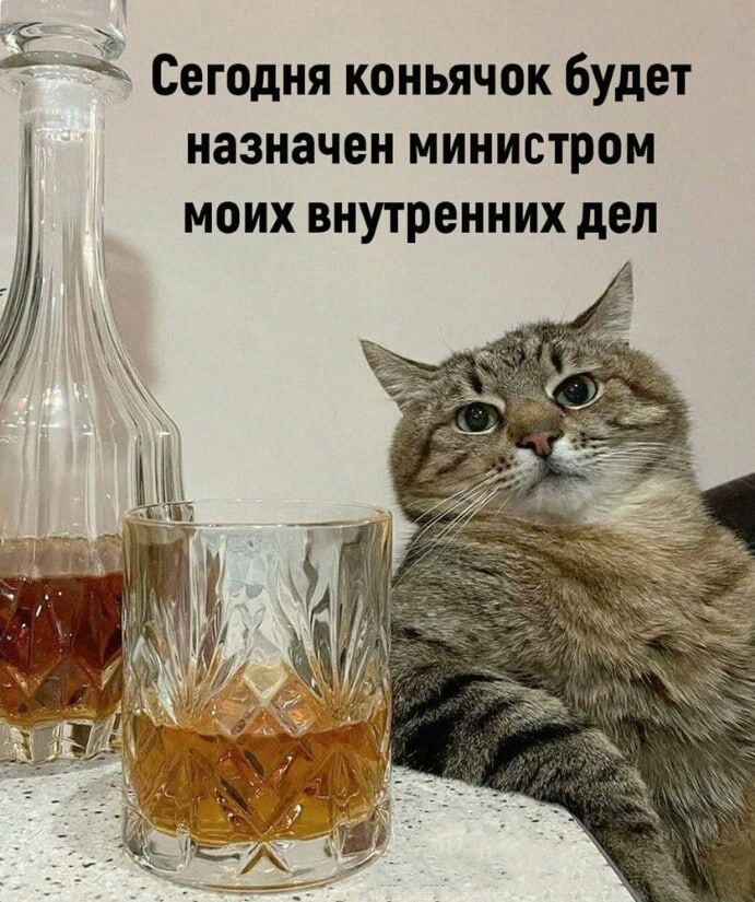 Ё Сегодня коиьячок будет назначен МИНИСТРБМ МОИХ ВНУТРЕННИХ дел