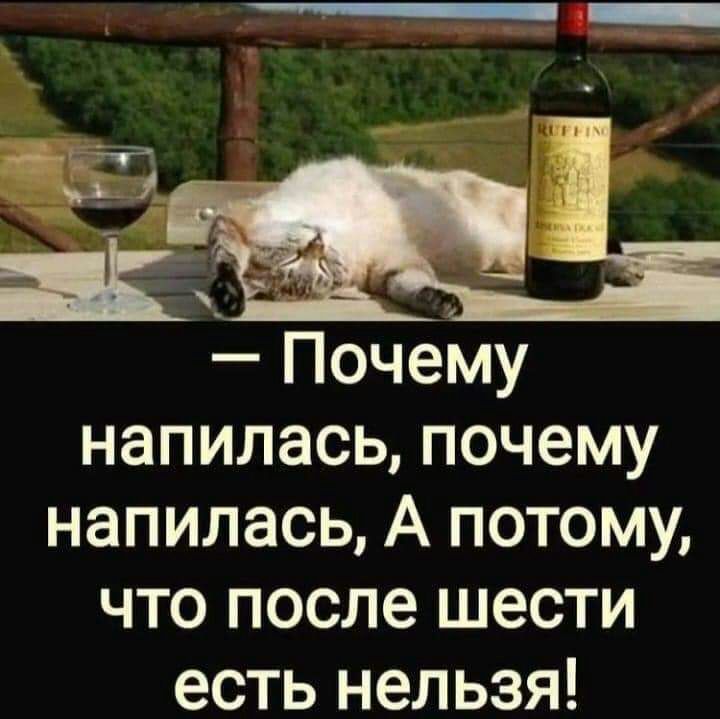 напилась почему напилась А потому что после шести есть нельзя