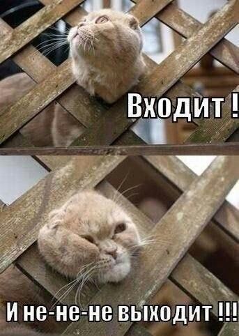 _ 7 И не не не выходит