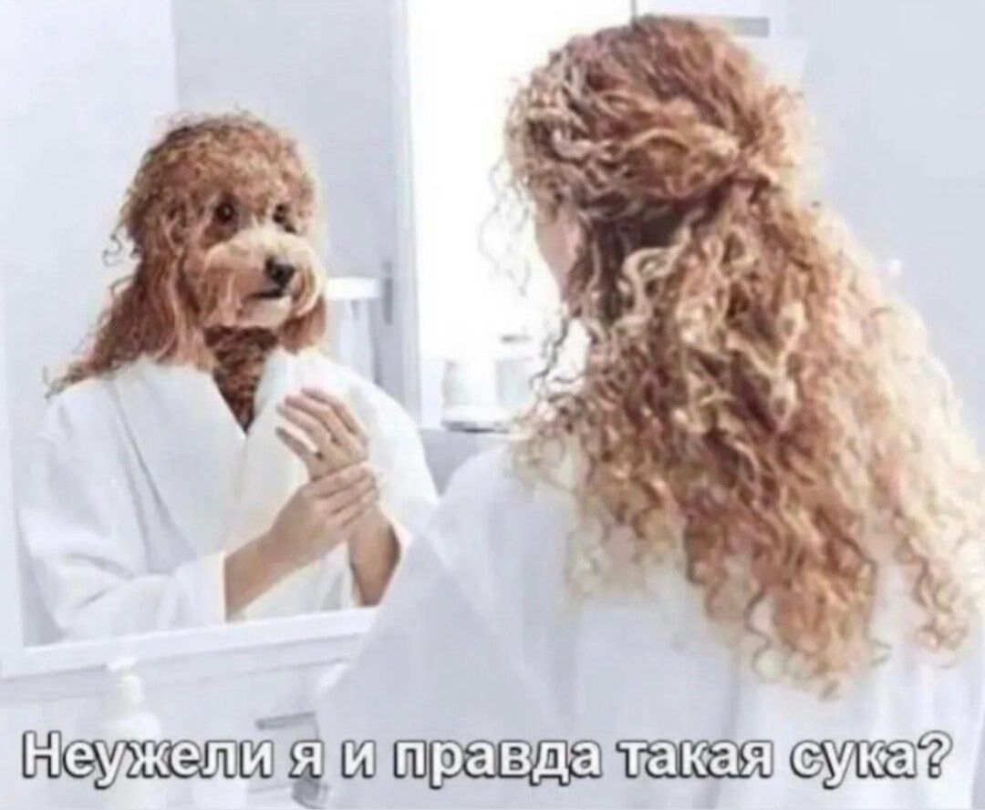 Ёшш