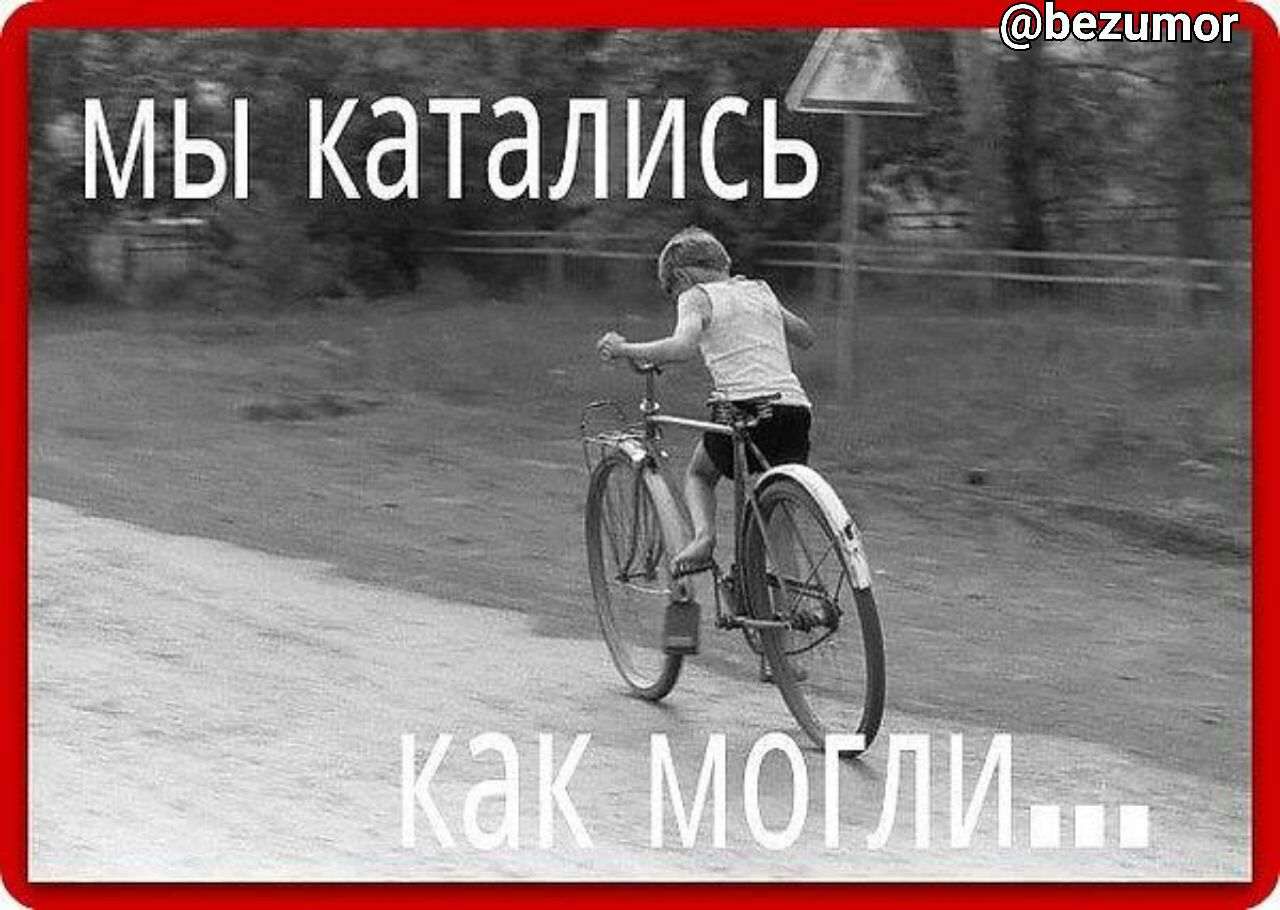 цдштпп м_Б каталигрвд