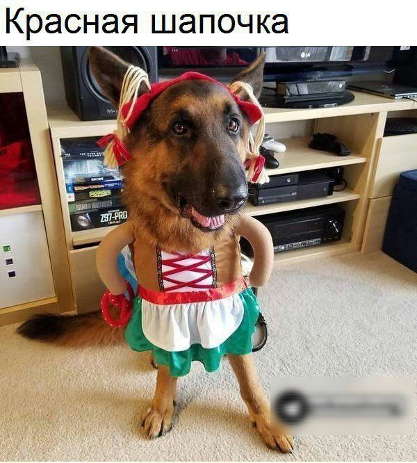 Красная шапочка