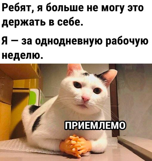 Ребят я больше не могу это держать в себе Я за однодневную рабочую неделю
