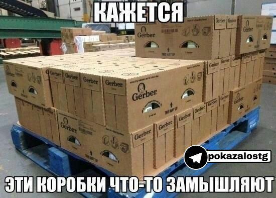 гчигиіжЁтсп ния 4 ЗТИ 05 ШВЁТЩЗПМЫШППЮТ