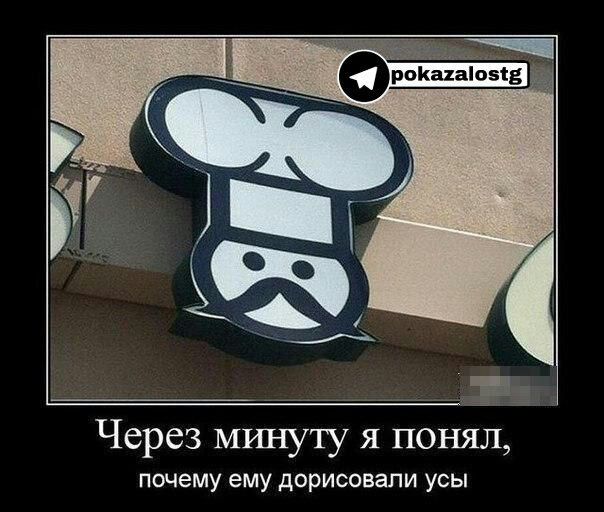 Через минуту я поняЗЪ почему ему дорисовапи усы