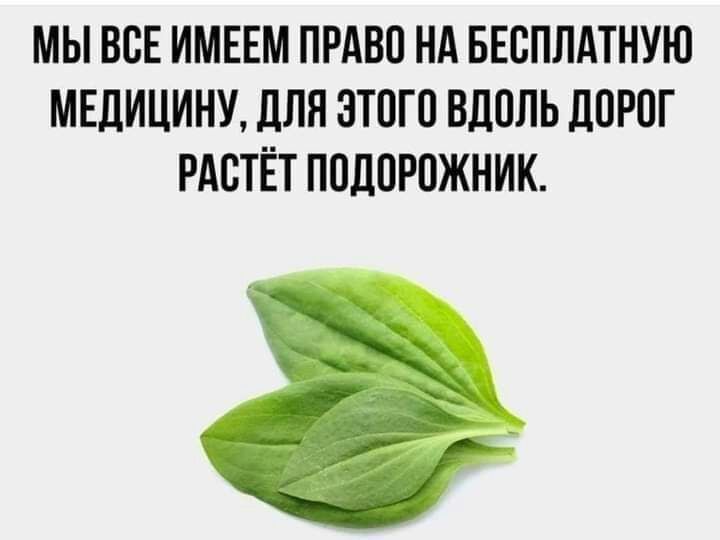 МЫ ВСЕ ИМЕЕМ ПРАВО НА БЕСПЛАТНУЮ МШИЦИНУ ЛПП ЗТПГО ВДОЛЬ ЛОРОГ РАПТЁТ ПОДПРПЖНИК