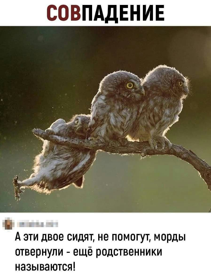 СОВПАДЕНИЕ А эти двое сидят не помогут морды отвернули ещё родственники называются