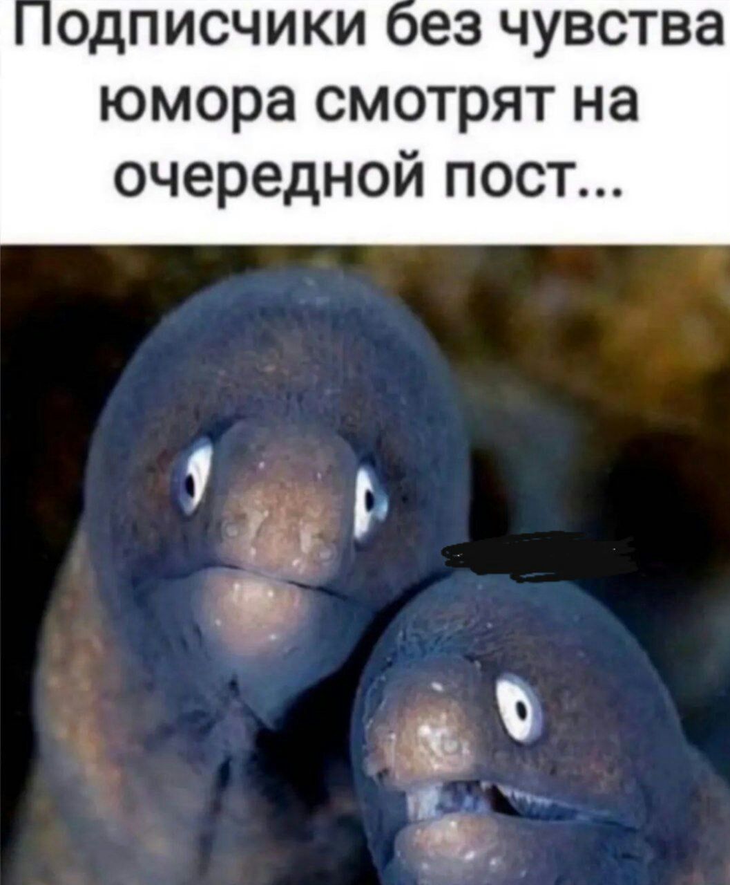 ОДПИСЧИКИ 063 ЧУВСТВЗ юмора СМОТРЯТ на очередной пост