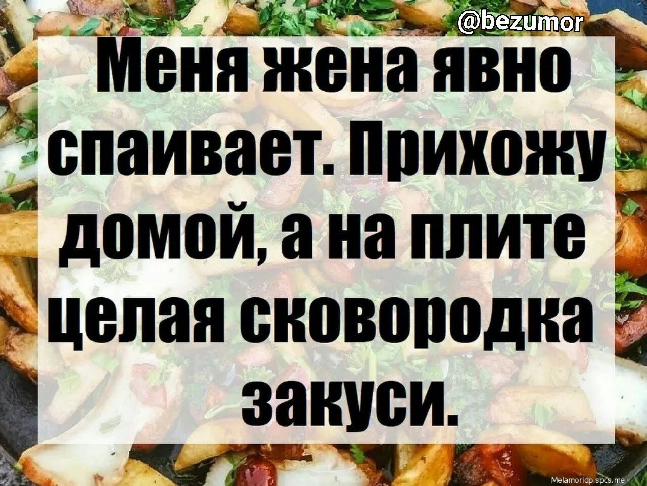 Прихожу домой жена. Меня жена явно спаивает, прихожу домой. Меня жена явно спаивает. - Официант, я уже два часа жду холодец! - Всё-всё, поставили варить!.