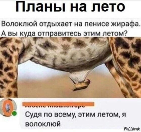 Планы на лето Вопокпюй отдыхает на пенисе жирафа ВЫ _уда ОТПВЗВИТЕСЬ тим ЛЕТОМ эртщ И 4 9 ъ _ 136 ёуЦЁЪЗБЕёдуГЗёимлетомд волоклюй