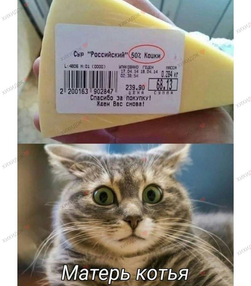 Ф Аипщх ШШШЫм