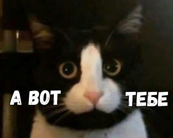_ А ВОТ ТЕБЕ
