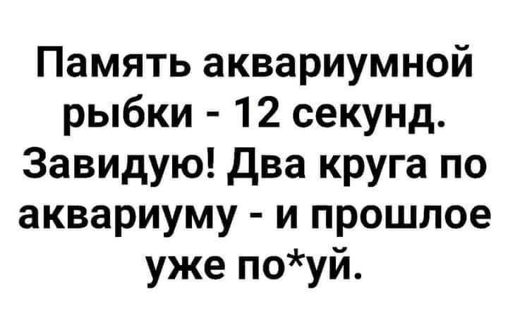 Память аквариумной рыбки 12 секунд Завидую два круга по аквариуму и прошлое уже поуй