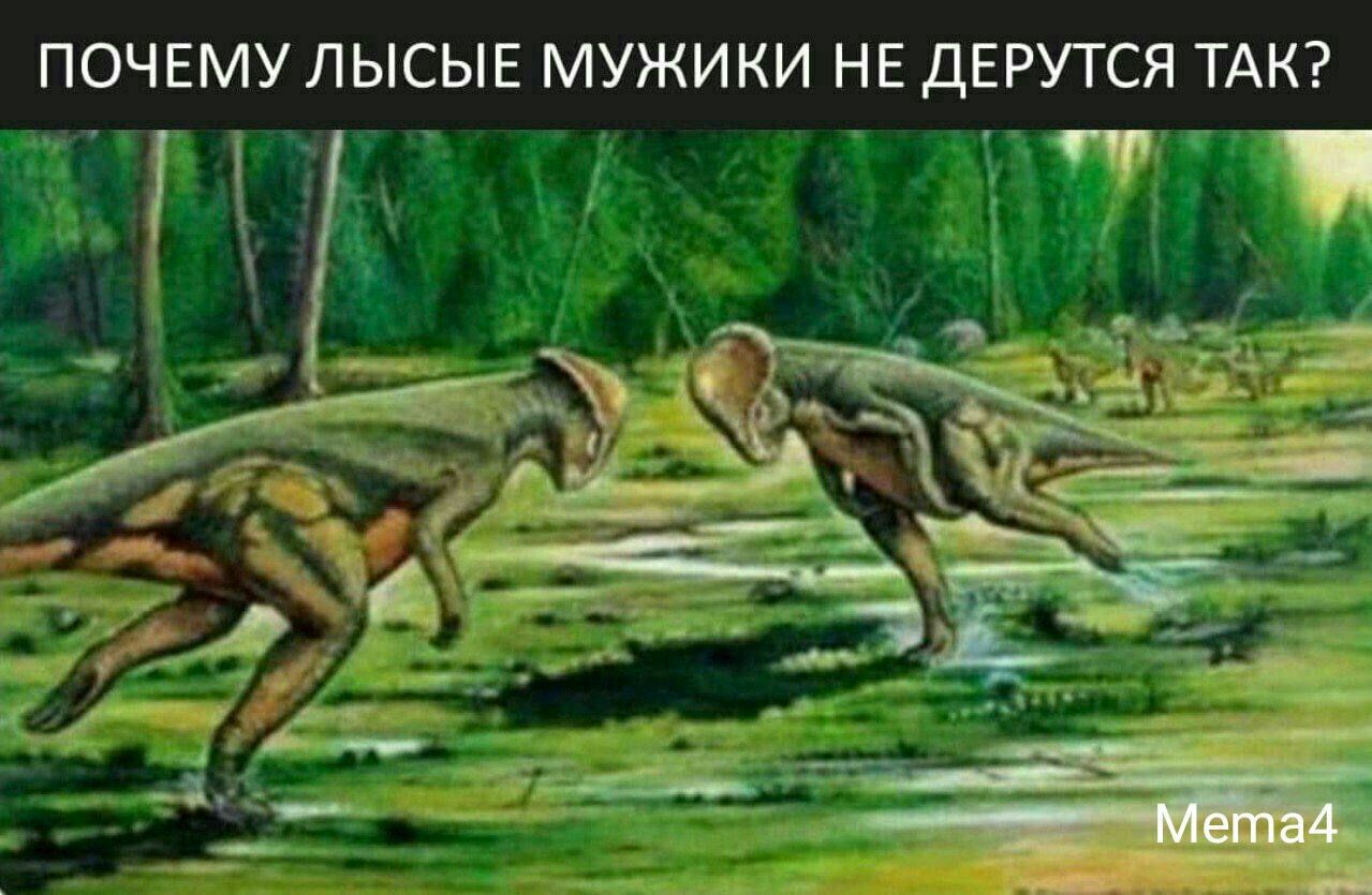 ПОЧЕМУ ЛЫСЫЕ МУЖИКИ НЕ ДЕРУТСЯ ТАК