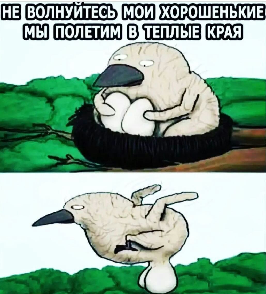 Е ПЛЫЕ И К Ь Н Е Ш 0 Р 0 Х ШЗ ВОЛНУИТЕСЬ