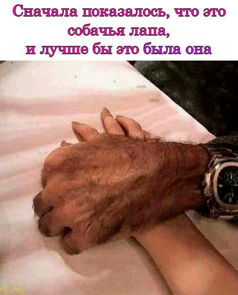 кг ездишь чта это взбашжч лапа и душа бы была она