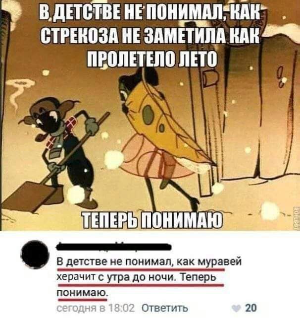 В дЕТВТВЕ Е ПППИМ_АЛШГ ВТРЕИПЗА НЕ ЗАМЕТИПА ПРППЕТЕПП ЛЕТП В детстве не понимаш как муравей херачит с утра до ночи Теперь понимаю _ Ответить 20