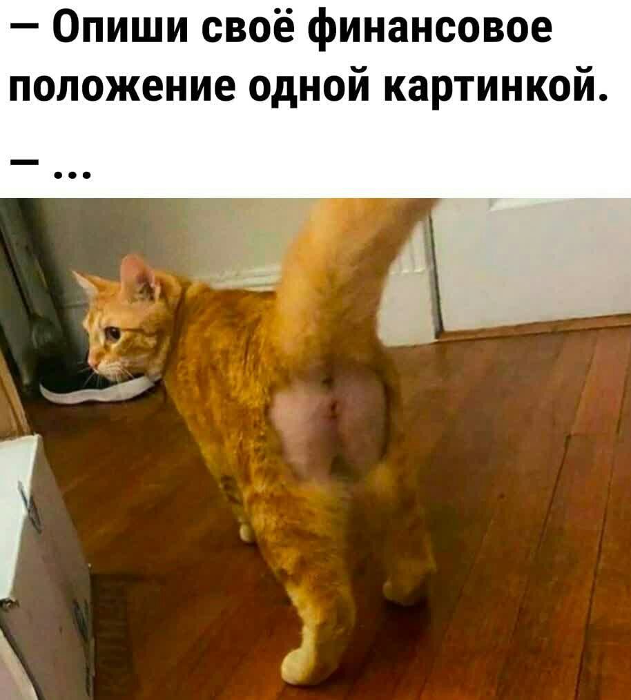 Опиши своё финансовое положение одной картинкой