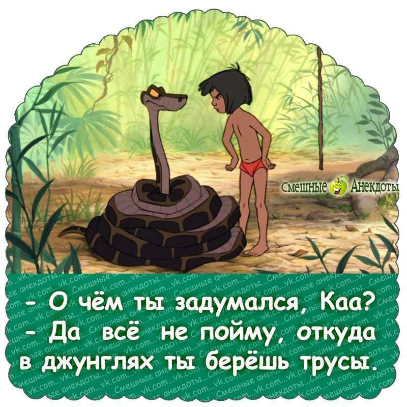 ь О чём ть задумался Ксю Да всё не пойму откуда в джунглях ты берёшь трусы