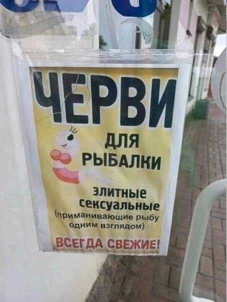СЕИСУШИЫЕ применимыми рыбу одним штамп _ _всчдээзвгкиаі